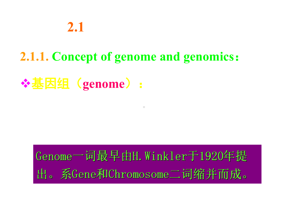 本科课件-生物信息学(完整).ppt_第3页