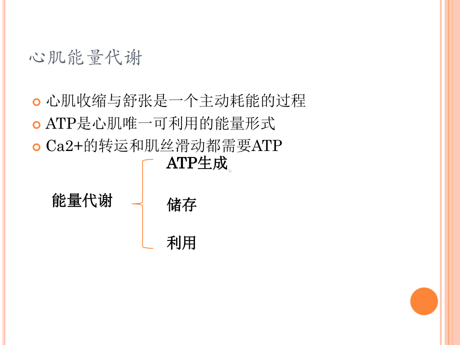 心力衰竭与心肌能量代谢课件.ppt_第3页