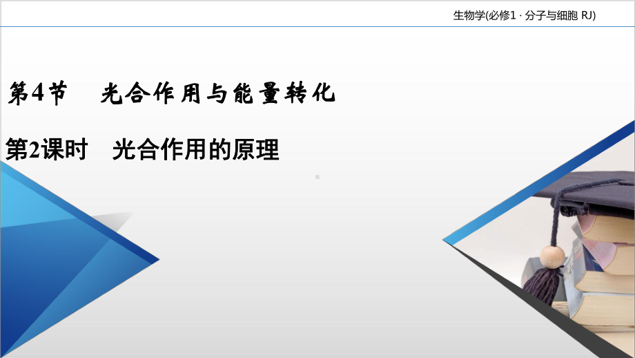 新教材《光合作用与能量转化》PPT名师课件人教版2.ppt_第2页