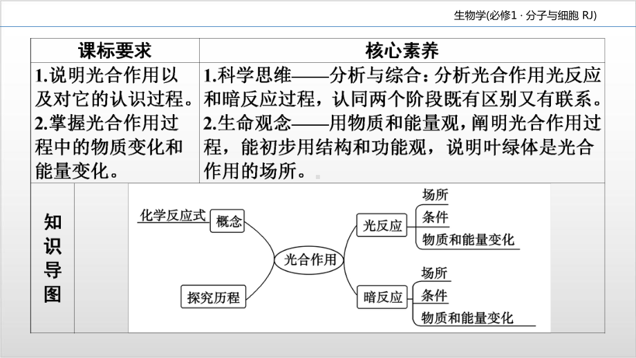 新教材《光合作用与能量转化》PPT名师课件人教版2.ppt_第3页