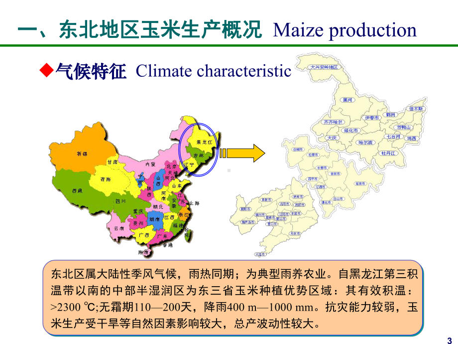 春玉米(超)高产高效关键生产技术研究与示范课件.ppt_第3页