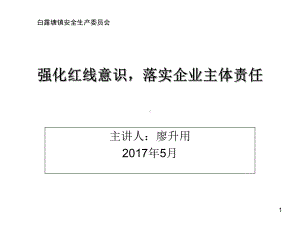 强化红线意识落实企业主体责任(共48张PPT)课件.ppt