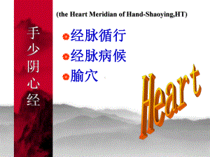 手少阴心经theHeartMeridianofHandShaoyingHT手少阴心经手心经HT课件.ppt