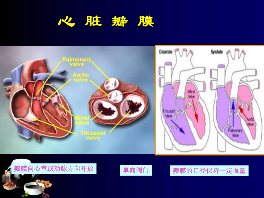 心脏瓣膜病二尖瓣狭窄ppt课件.ppt_第3页