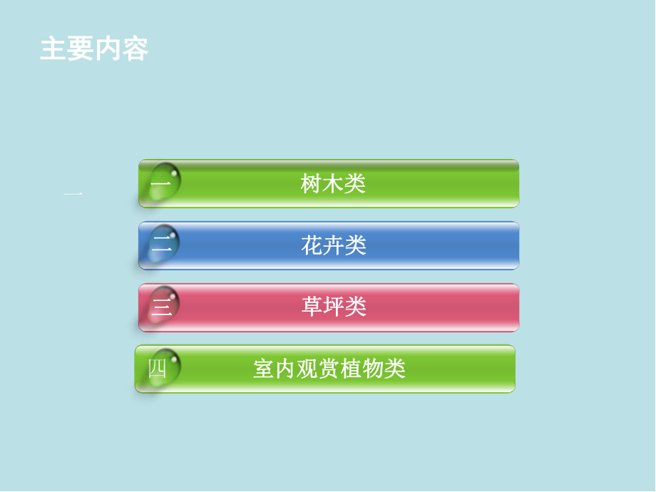 景观植物设计2-4-2学习单元二景观植物(观叶植物).ppt_第2页