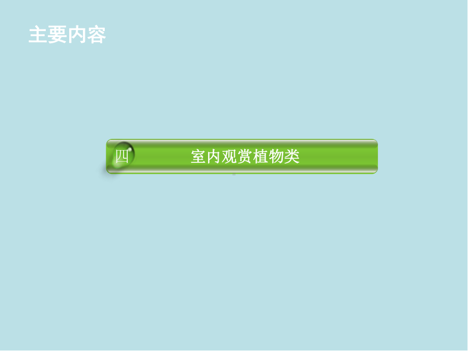 景观植物设计2-4-2学习单元二景观植物(观叶植物).ppt_第3页