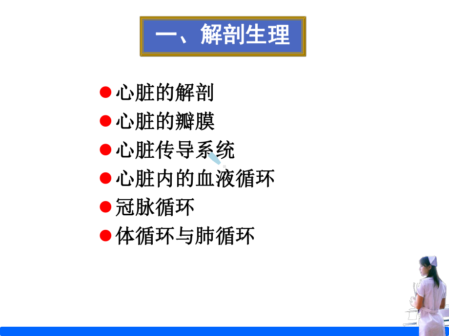 循环系统重症护理课件.ppt_第3页