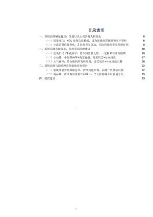 新锐品牌崛起营销模式分析及与淘品牌营销策略区别比较课件.pptx