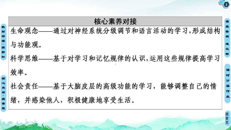 新教材《神经系统的分级调节》PPT完美课件人教版1.ppt_第3页