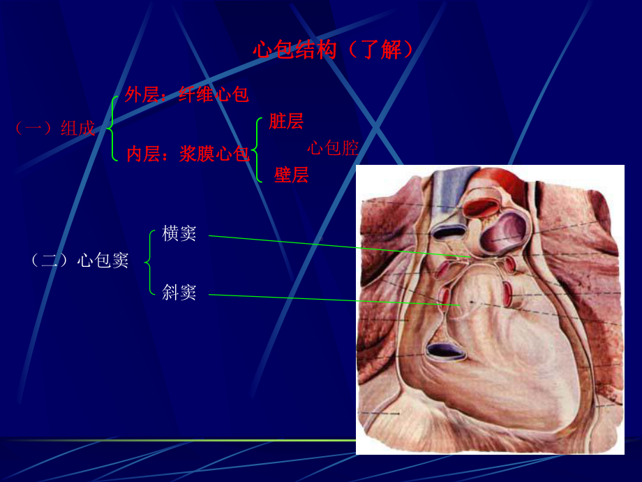 心包疾病-ppt课件.ppt_第2页