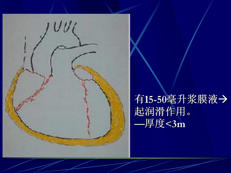 心包疾病-ppt课件.ppt_第3页