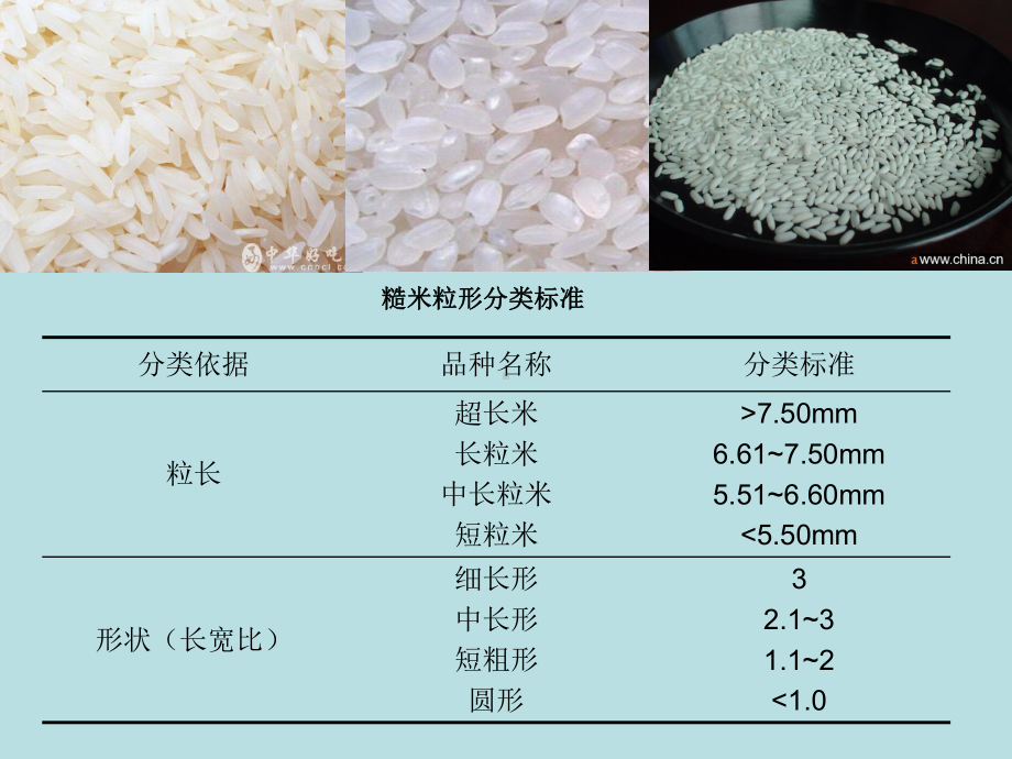 方便大米制品生产工艺课件.ppt_第3页