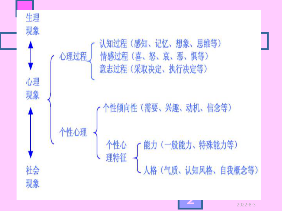 心理学基础知识课件(1).ppt_第2页