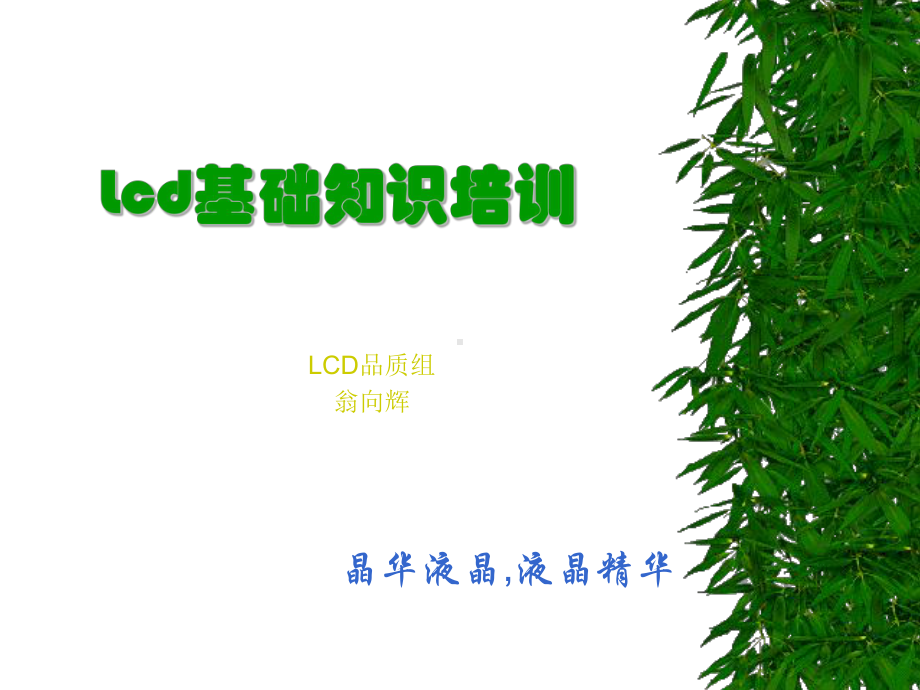 新编-Lcd基础知识培训-精品课件.ppt_第1页