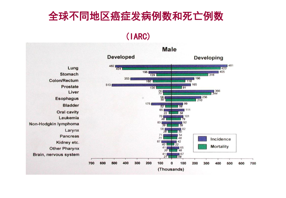 早期胃癌发病机制及分子生物学研究进展课件.ppt_第3页