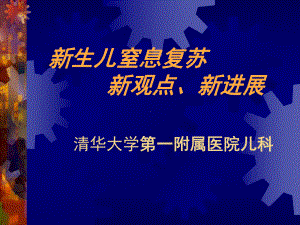 新生儿窒息复苏新观点、新进展-课件2.ppt