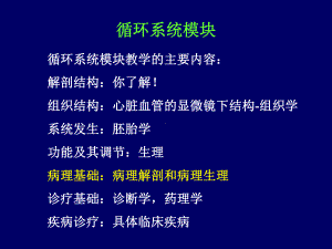 循环系统-休克I(循环系统疾病的基本病理过程)课件.ppt