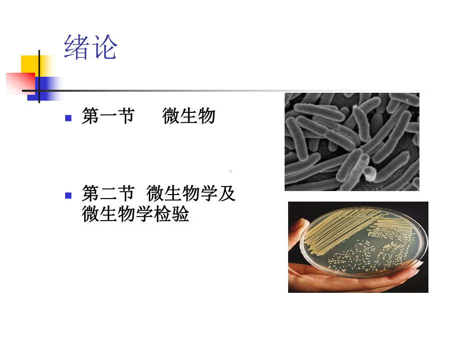 微生物学检验课件.ppt_第2页