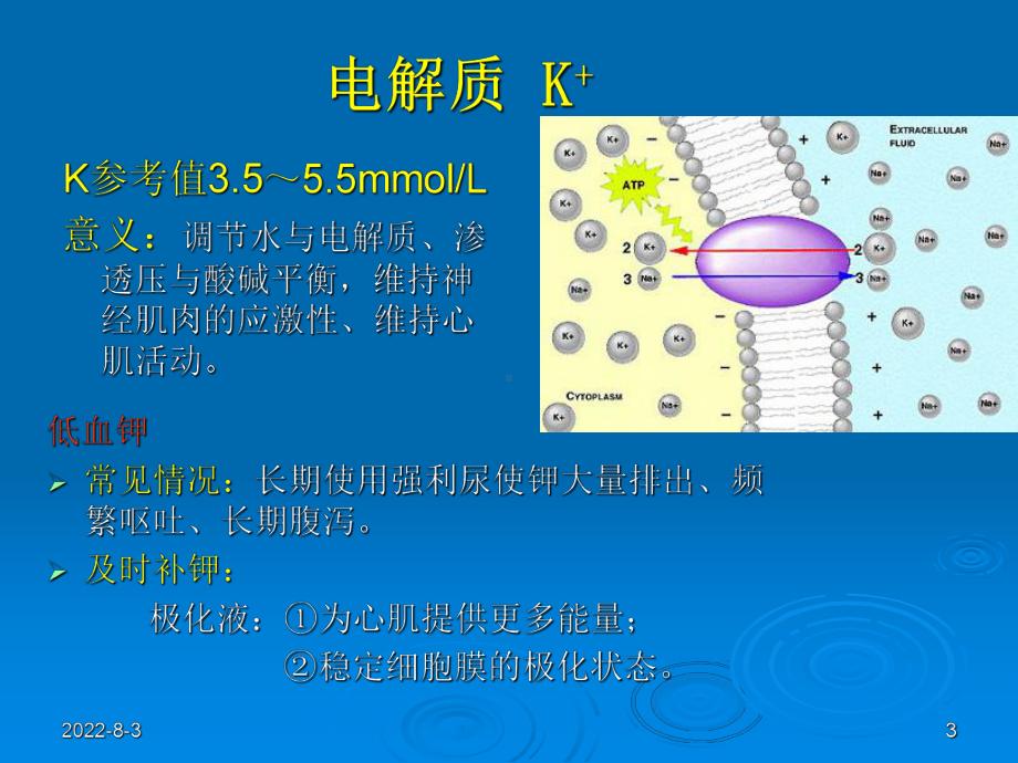 心内科常见检查及其意义课件.ppt_第3页