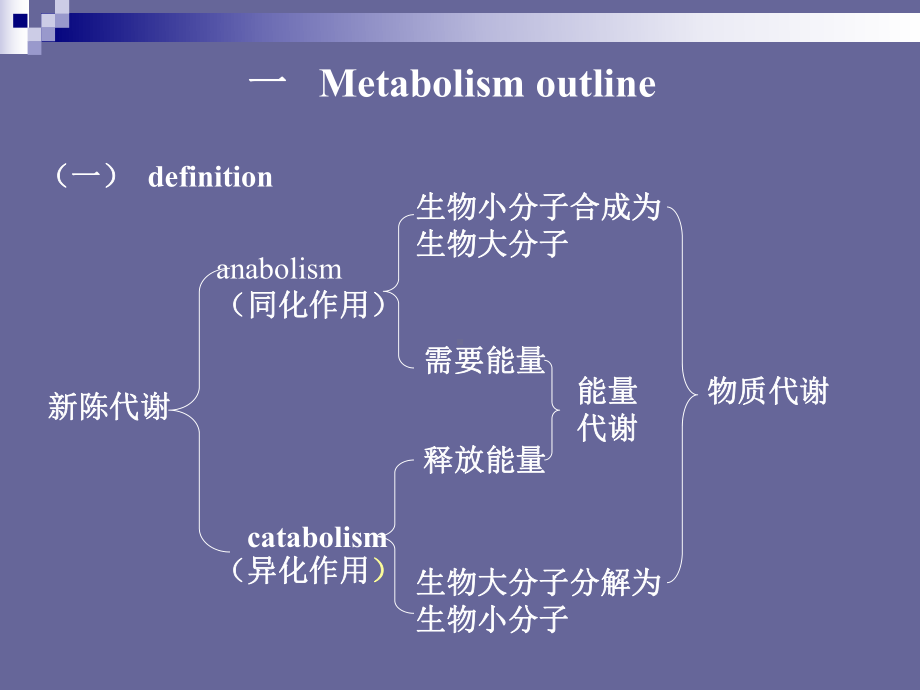 新陈代谢总论和生物氧化课件.ppt_第2页