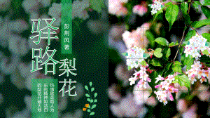 当代作家小说驿路梨花PPT模板.pptx