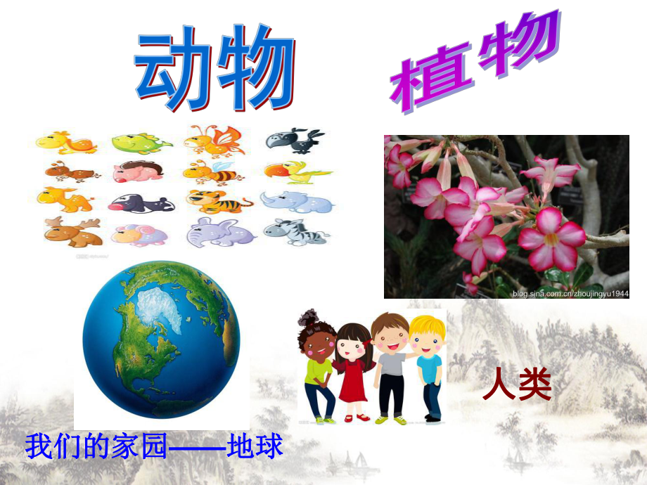 有趣的动植物ppt课件.ppt_第3页