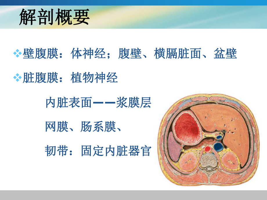 急性化脓性腹膜炎ppt课件.ppt_第3页