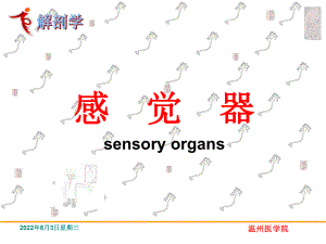 感觉视器系统解剖学课件.ppt