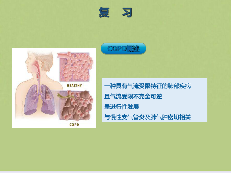 慢性阻塞性肺疾病及其护理课件.ppt_第2页