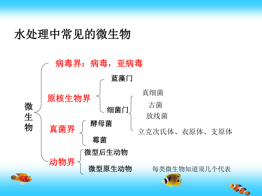 普通光学显微镜课件.ppt_第3页