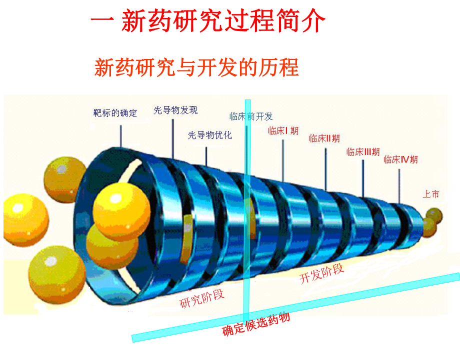 新药临床前药效学评价(上)课件.pptx_第3页