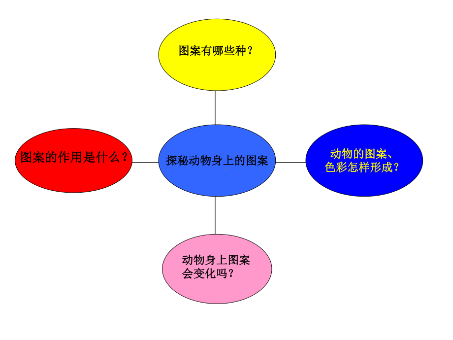 探秘动物身上的图案课件.ppt_第2页