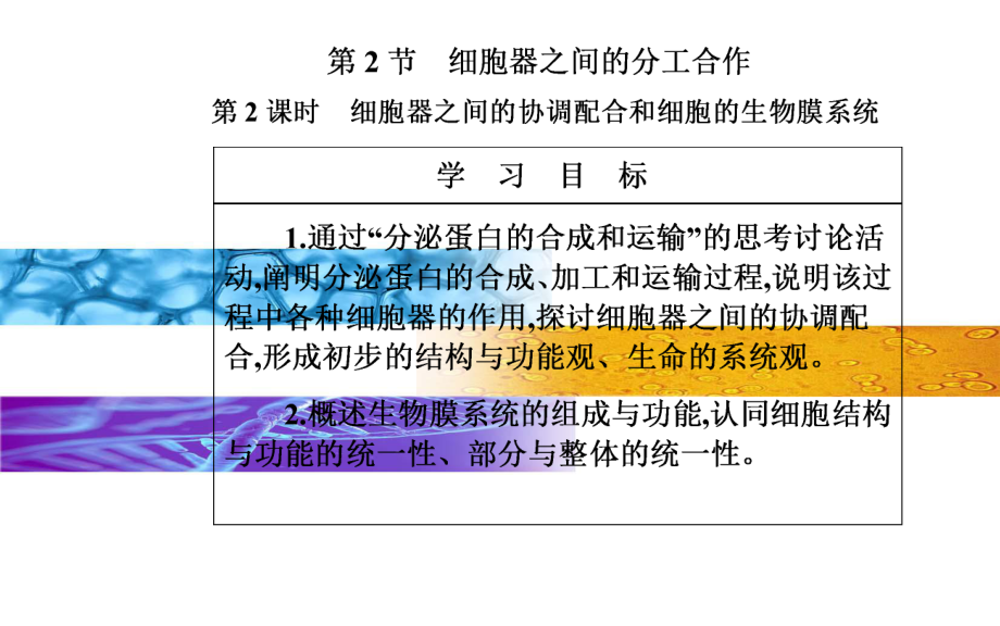 新教材《细胞器之间的分工合作》优质课件人教版1.ppt_第2页