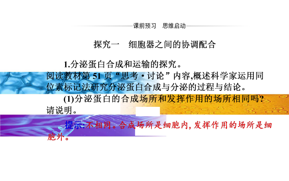 新教材《细胞器之间的分工合作》优质课件人教版1.ppt_第3页