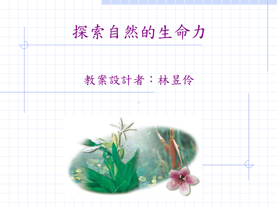 探索自然的生命力课件.ppt_第1页