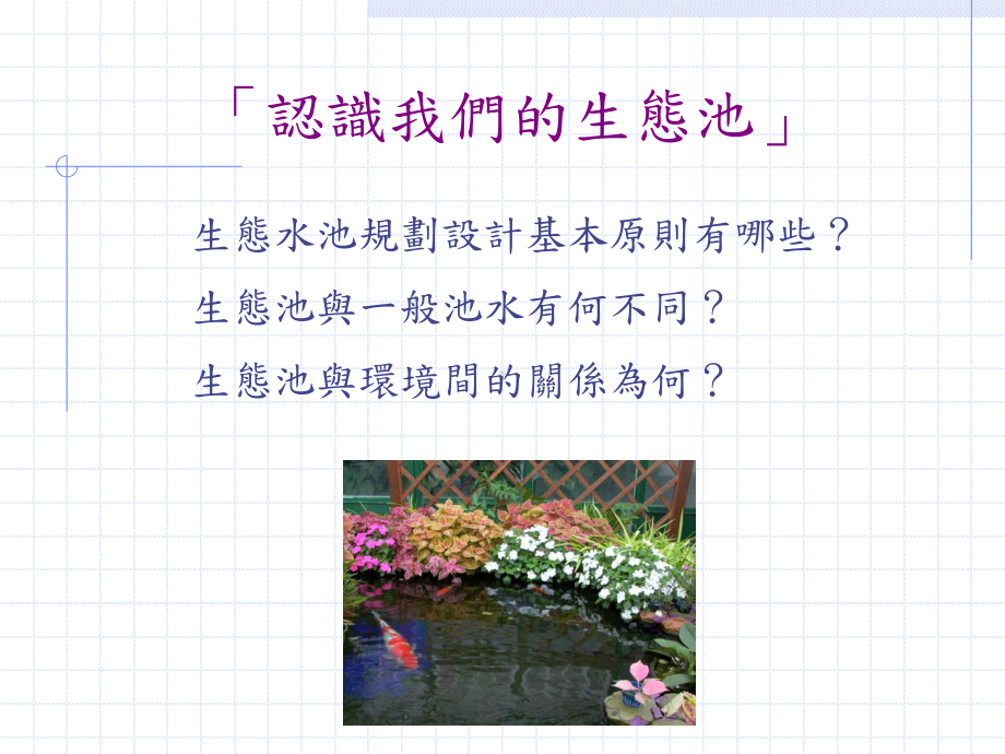 探索自然的生命力课件.ppt_第2页