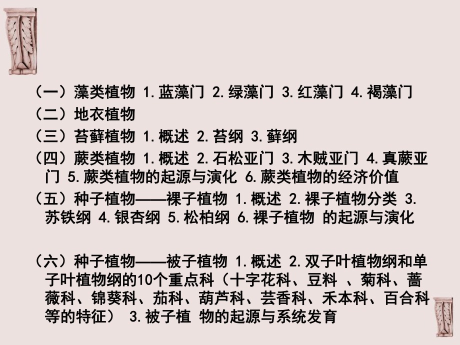 植物分类学第十二章被子植物分类课件.ppt_第2页