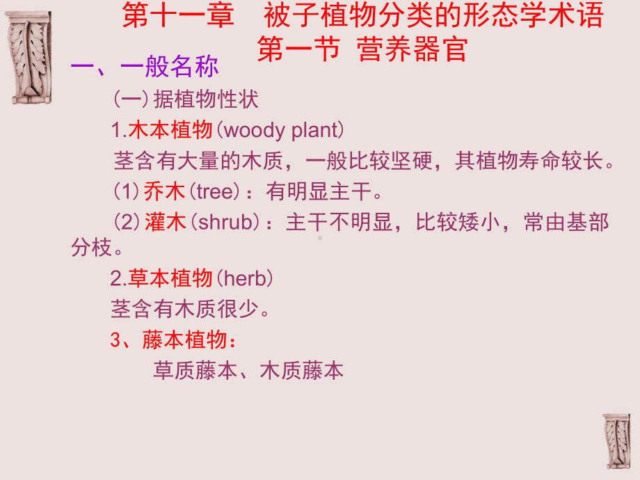 植物分类学第十二章被子植物分类课件.ppt_第3页