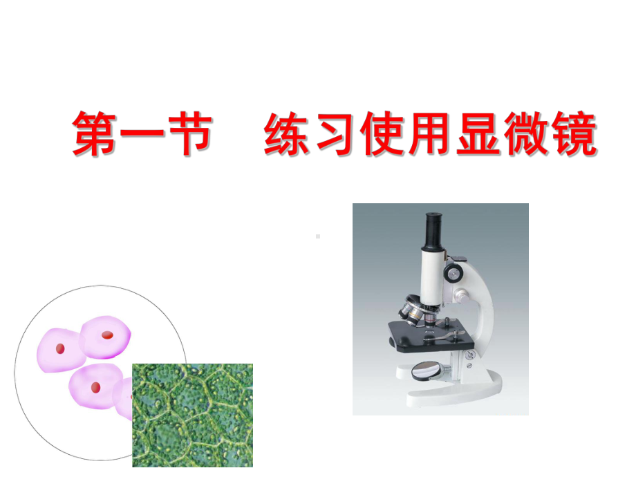 济南版生物学的研究工具-第一课时课件.ppt_第1页