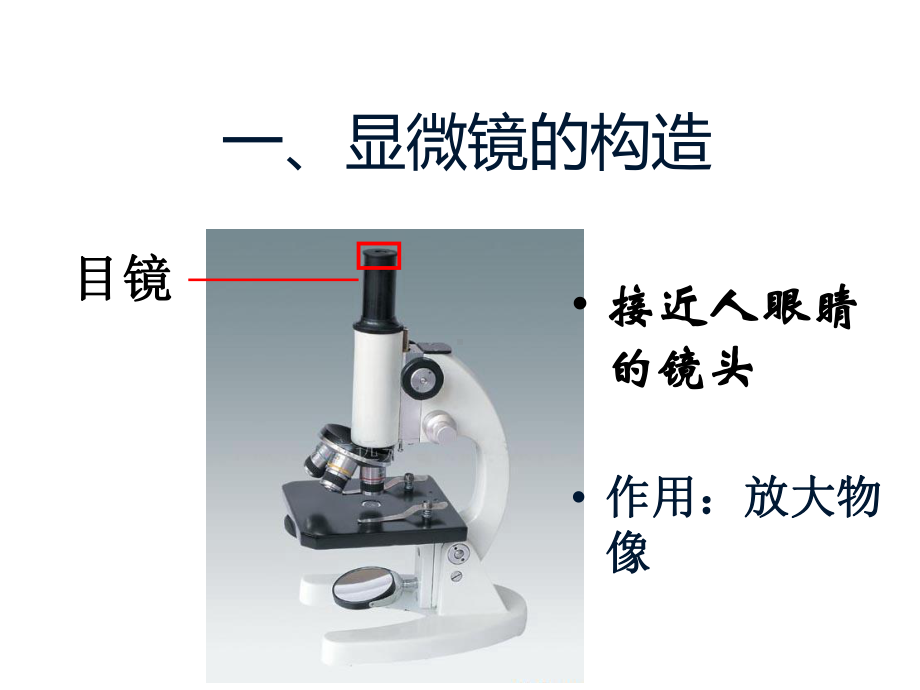 济南版生物学的研究工具-第一课时课件.ppt_第3页