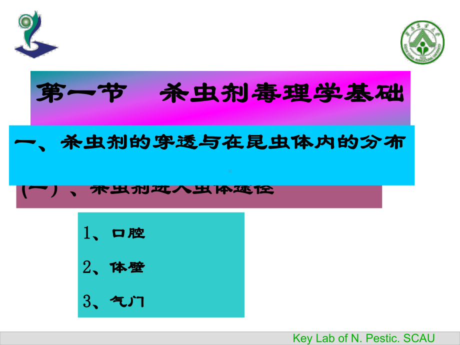 第三章杀虫杀螨剂课件.ppt_第2页