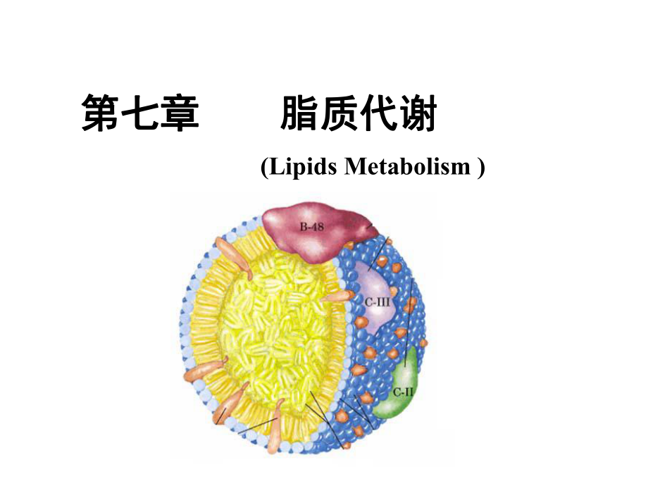 生物化学-脂质代谢课件.ppt_第1页