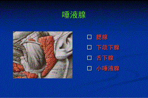 第八章唾液腺课件.ppt