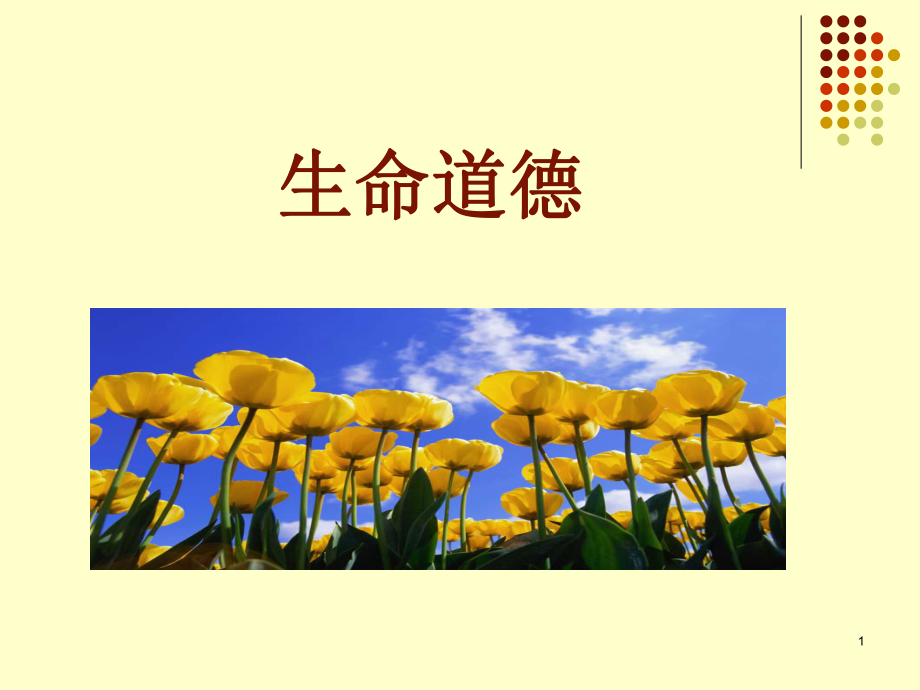 生殖技术的伦理课件.ppt_第1页