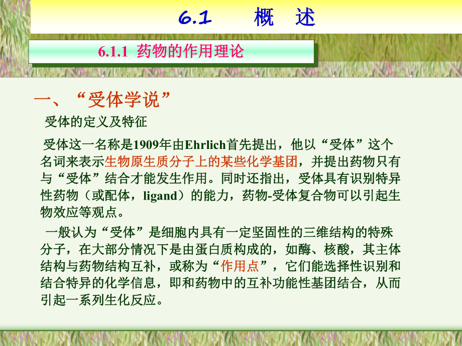 第六章医药及中间体课件.ppt_第2页