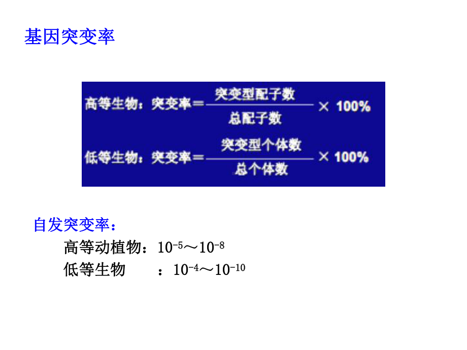 第12章-基因突变-遗传学课件.ppt_第3页