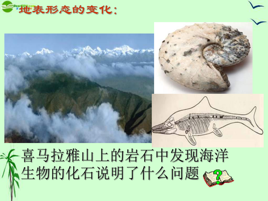 第四节《海陆变迁》课件.ppt_第3页