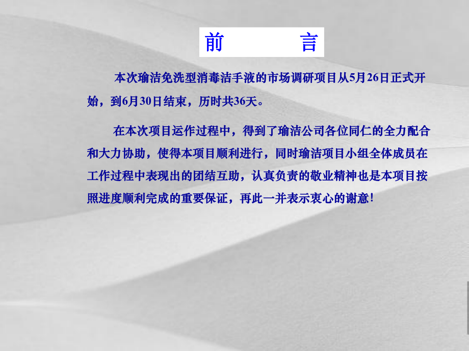 洗涤用品市场调研报告课件.ppt_第2页