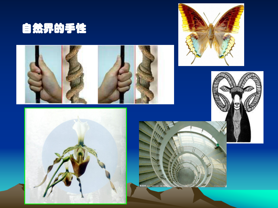 第五章手性分子和旋光异构12030课件1.ppt_第3页