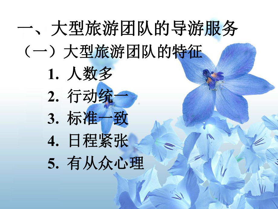 特殊团队的导游服务课件.ppt_第3页